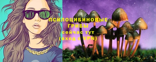бошки Билибино