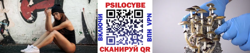 маркетплейс какой сайт купить наркотик Правдинск Псилоцибиновые грибы мухоморы